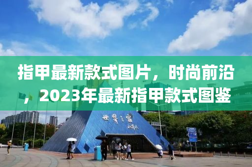 指甲最新款式圖片，時(shí)尚前沿，2023年最新指甲款式圖鑒