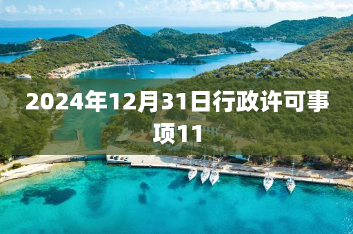 2024年12月31日行政許可事項(xiàng)11