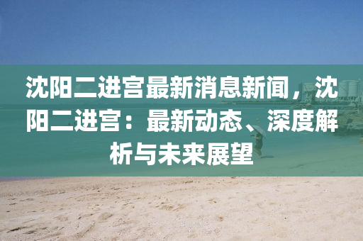 沈陽二進(jìn)宮最新消息新聞，沈陽二進(jìn)宮：最新動態(tài)、深度解析與未來展望