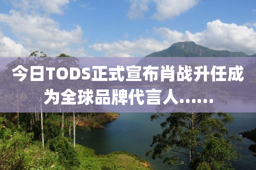 今日TODS正式宣布肖戰(zhàn)升任成為全球品牌代言人……