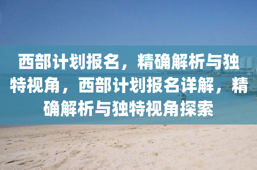 西部計劃報名，精確解析與獨特視角，西部計劃報名詳解，精確解析與獨特視角探索