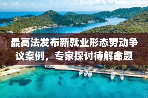 最高法發(fā)布新就業(yè)形態(tài)勞動爭議案例，專家探討待解命題