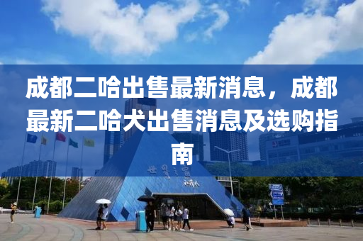 成都二哈出售最新消息，成都最新二哈犬出售消息及選購指南