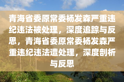 青海省委原常委楊發(fā)森嚴(yán)重違紀(jì)違法被處理，深度追蹤與反思，青海省委原常委楊發(fā)森嚴(yán)重違紀(jì)違法遭處理，深度剖析與反思