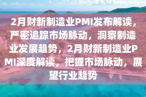 2月財新制造業(yè)PMI發(fā)布解讀，嚴(yán)密追蹤市場脈動，洞察制造業(yè)發(fā)展趨勢，2月財新制造業(yè)PMI深度解讀，把握市場脈動，展望行業(yè)趨勢