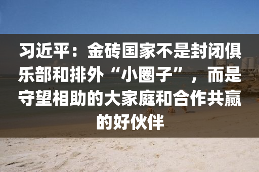 習(xí)近平：金磚國家不是封閉俱樂部和排外“小圈子”，而是守望相助的大家庭和合作共贏的好伙伴