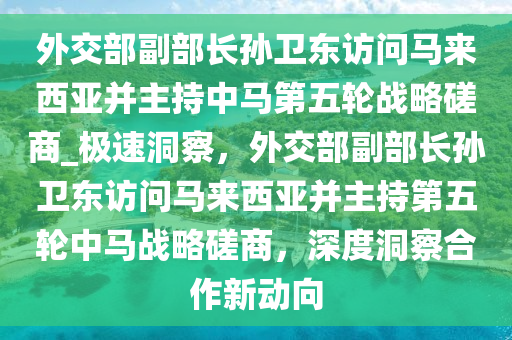 外交部副部長孫衛(wèi)東訪問馬來西亞并主持中馬第五輪戰(zhàn)略磋商_極速洞察，外交部副部長孫衛(wèi)東訪問馬來西亞并主持第五輪中馬戰(zhàn)略磋商，深度洞察合作新動向