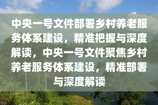 中央一號文件部署鄉(xiāng)村養(yǎng)老服務體系建設，精準把握與深度解讀，中央一號文件聚焦鄉(xiāng)村養(yǎng)老服務體系建設，精準部署與深度解讀