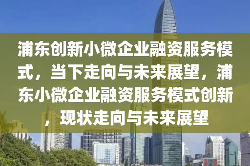 浦東創(chuàng)新小微企業(yè)融資服務(wù)模式，當(dāng)下走向與未來展望，浦東小微企業(yè)融資服務(wù)模式創(chuàng)新，現(xiàn)狀走向與未來展望