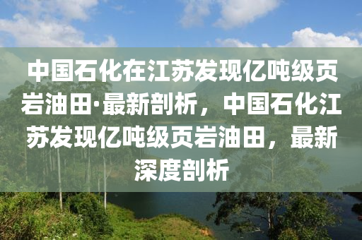 中國石化在江蘇發(fā)現(xiàn)億噸級頁巖油田·最新剖析