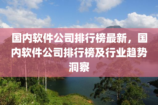 國內(nèi)軟件公司排行榜最新，國內(nèi)軟件公司排行榜及行業(yè)趨勢洞察