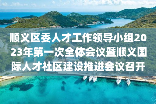 順義區(qū)委人才工作領(lǐng)導小組2023年第一次全體會議暨順義國際人才社區(qū)建設(shè)推進會議召開