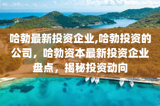 哈勃最新投資企業(yè),哈勃投資的公司，哈勃資本最新投資企業(yè)盤(pán)點(diǎn)，揭秘投資動(dòng)向