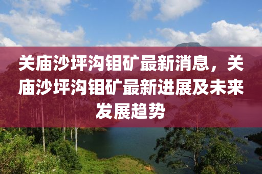 關(guān)廟沙坪溝鉬礦最新消息，關(guān)廟沙坪溝鉬礦最新進展及未來發(fā)展趨勢