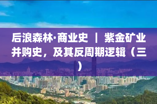 后浪森林·商業(yè)史 ｜ 紫金礦業(yè)并購(gòu)史，及其反周期邏輯（三）