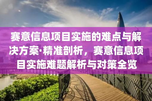 賽意信息項目實施的難點與解決方案·精準剖析，賽意信息項目實施難題解析與對策全覽