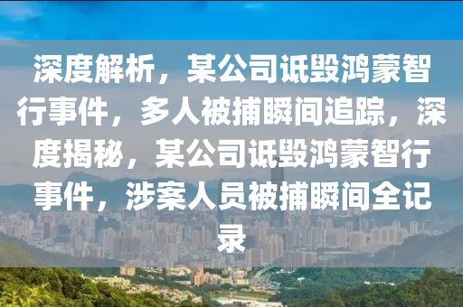 深度解析，某公司詆毀鴻蒙智行事件，多人被捕瞬間追蹤，深度揭秘，某公司詆毀鴻蒙智行事件，涉案人員被捕瞬間全記錄