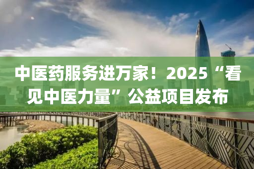 中醫(yī)藥服務(wù)進萬家！2025“看見中醫(yī)力量”公益項目發(fā)布