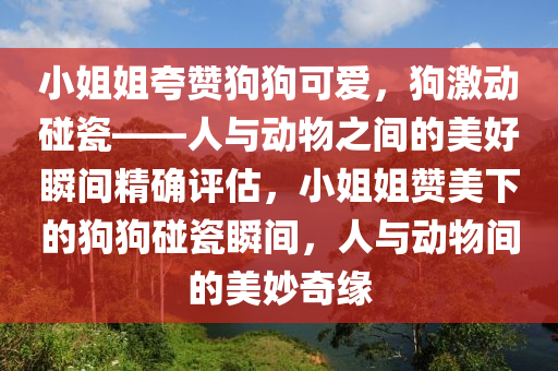 小姐姐夸贊狗狗可愛，狗激動碰瓷——人與動物之間的美好瞬間精確評估，小姐姐贊美下的狗狗碰瓷瞬間，人與動物間的美妙奇緣