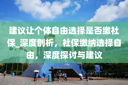 建議讓個體自由選擇是否繳社保_深度剖析，社保繳納選擇自由，深度探討與建議