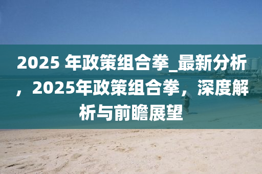 2025 年政策組合拳_最新分析，2025年政策組合拳，深度解析與前瞻展望