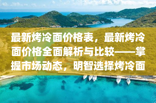 最新烤冷面價格表，最新烤冷面價格全面解析與比較——掌握市場動態(tài)，明智選擇烤冷面