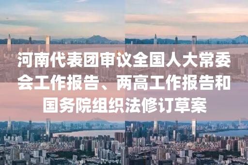 河南代表團(tuán)審議全國人大常委會工作報告、兩高工作報告和國務(wù)院組織法修訂草案