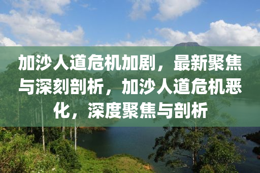 加沙人道危機(jī)加劇，最新聚焦與深刻剖析，加沙人道危機(jī)惡化，深度聚焦與剖析