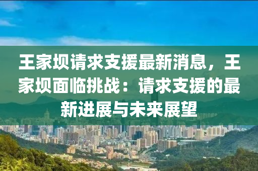 王家壩請求支援最新消息，王家壩面臨挑戰(zhàn)：請求支援的最新進(jìn)展與未來展望