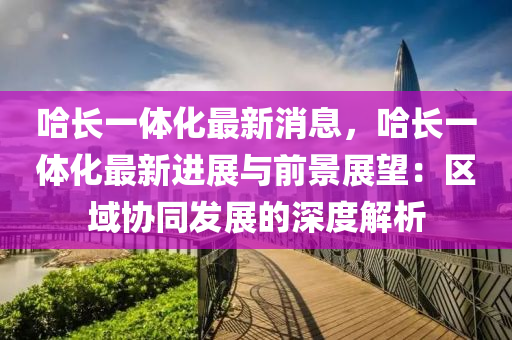 哈長一體化最新消息，哈長一體化最新進展與前景展望：區(qū)域協(xié)同發(fā)展的深度解析