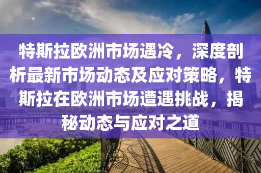 特斯拉歐洲市場遇冷，深度剖析最新市場動態(tài)及應對策略，特斯拉在歐洲市場遭遇挑戰(zhàn)，揭秘動態(tài)與應對之道