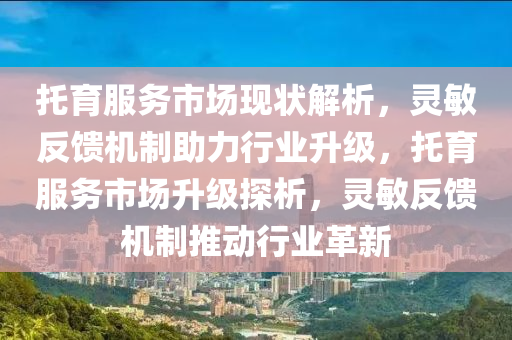 托育服務(wù)市場現(xiàn)狀解析，靈敏反饋機制助力行業(yè)升級，托育服務(wù)市場升級探析，靈敏反饋機制推動行業(yè)革新