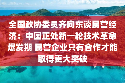 全國政協(xié)委員齊向東談民營經濟：中國正處新一輪技術革命爆發(fā)期 民營企業(yè)只有合作才能取得更大突破