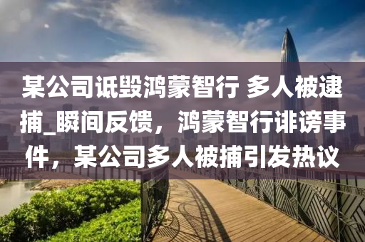 某公司詆毀鴻蒙智行 多人被逮捕_瞬間反饋，鴻蒙智行誹謗事件，某公司多人被捕引發(fā)熱議