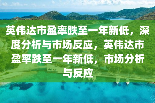 英偉達市盈率跌至一年新低，深度分析與市場反應(yīng)，英偉達市盈率跌至一年新低，市場分析與反應(yīng)