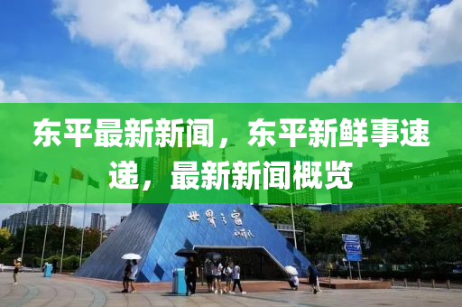 東平最新新聞，東平新鮮事速遞，最新新聞概覽