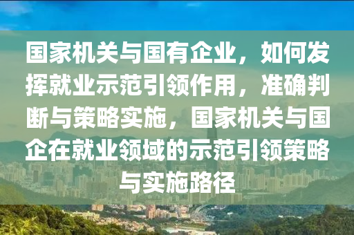 國(guó)家機(jī)關(guān)與國(guó)有企業(yè)，如何發(fā)揮就業(yè)示范引領(lǐng)作用，準(zhǔn)確判斷與策略實(shí)施，國(guó)家機(jī)關(guān)與國(guó)企在就業(yè)領(lǐng)域的示范引領(lǐng)策略與實(shí)施路徑