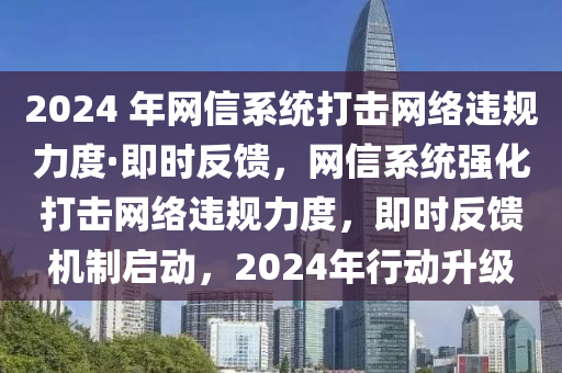 2024 年網(wǎng)信系統(tǒng)打擊網(wǎng)絡(luò)違規(guī)力度·即時(shí)反饋，網(wǎng)信系統(tǒng)強(qiáng)化打擊網(wǎng)絡(luò)違規(guī)力度，即時(shí)反饋機(jī)制啟動(dòng)，2024年行動(dòng)升級(jí)