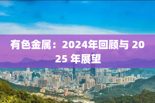 有色金屬：2024年回顧與 2025 年展望