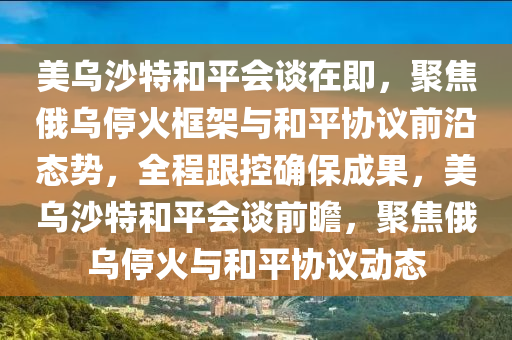 美烏沙特和平會談在即，聚焦俄烏?；鹂蚣芘c和平協(xié)議前沿態(tài)勢，全程跟控確保成果，美烏沙特和平會談前瞻，聚焦俄烏停火與和平協(xié)議動態(tài)