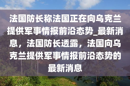 法國防長稱法國正在向烏克蘭提供軍事情報前沿態(tài)勢_最新消息，法國防長透露，法國向烏克蘭提供軍事情報前沿態(tài)勢的最新消息