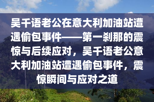 吳千語老公在意大利加油站遭遇偷包事件——第一剎那的震驚與后續(xù)應對，吳千語老公意大利加油站遭遇偷包事件，震驚瞬間與應對之道