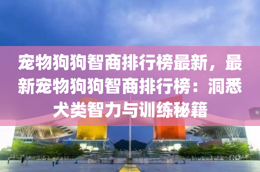 寵物狗狗智商排行榜最新，最新寵物狗狗智商排行榜：洞悉犬類智力與訓(xùn)練秘籍