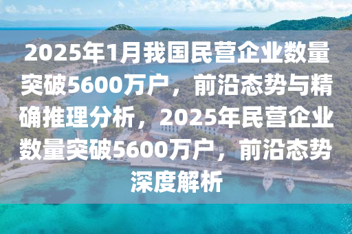 2025年1月我國(guó)民營(yíng)企業(yè)數(shù)量突破5600萬(wàn)戶，前沿態(tài)勢(shì)與精確推理分析，2025年民營(yíng)企業(yè)數(shù)量突破5600萬(wàn)戶，前沿態(tài)勢(shì)深度解析