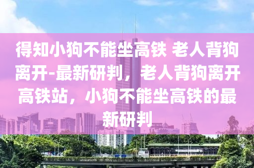 得知小狗不能坐高鐵 老人背狗離開-最新研判，老人背狗離開高鐵站，小狗不能坐高鐵的最新研判