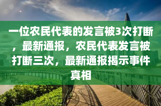 一位農(nóng)民代表的發(fā)言被3次打斷，最新通報，農(nóng)民代表發(fā)言被打斷三次，最新通報揭示事件真相