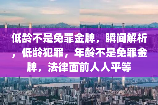 低齡不是免罪金牌，瞬間解析，低齡犯罪，年齡不是免罪金牌，法律面前人人平等