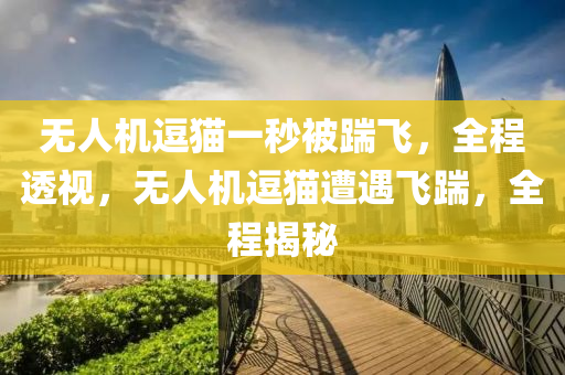 無人機逗貓一秒被踹飛，全程透視，無人機逗貓遭遇飛踹，全程揭秘