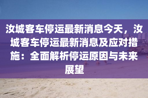 汝城客車停運最新消息今天，汝城客車停運最新消息及應(yīng)對措施：全面解析停運原因與未來展望