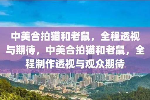 中美合拍貓和老鼠，全程透視與期待，中美合拍貓和老鼠，全程制作透視與觀眾期待